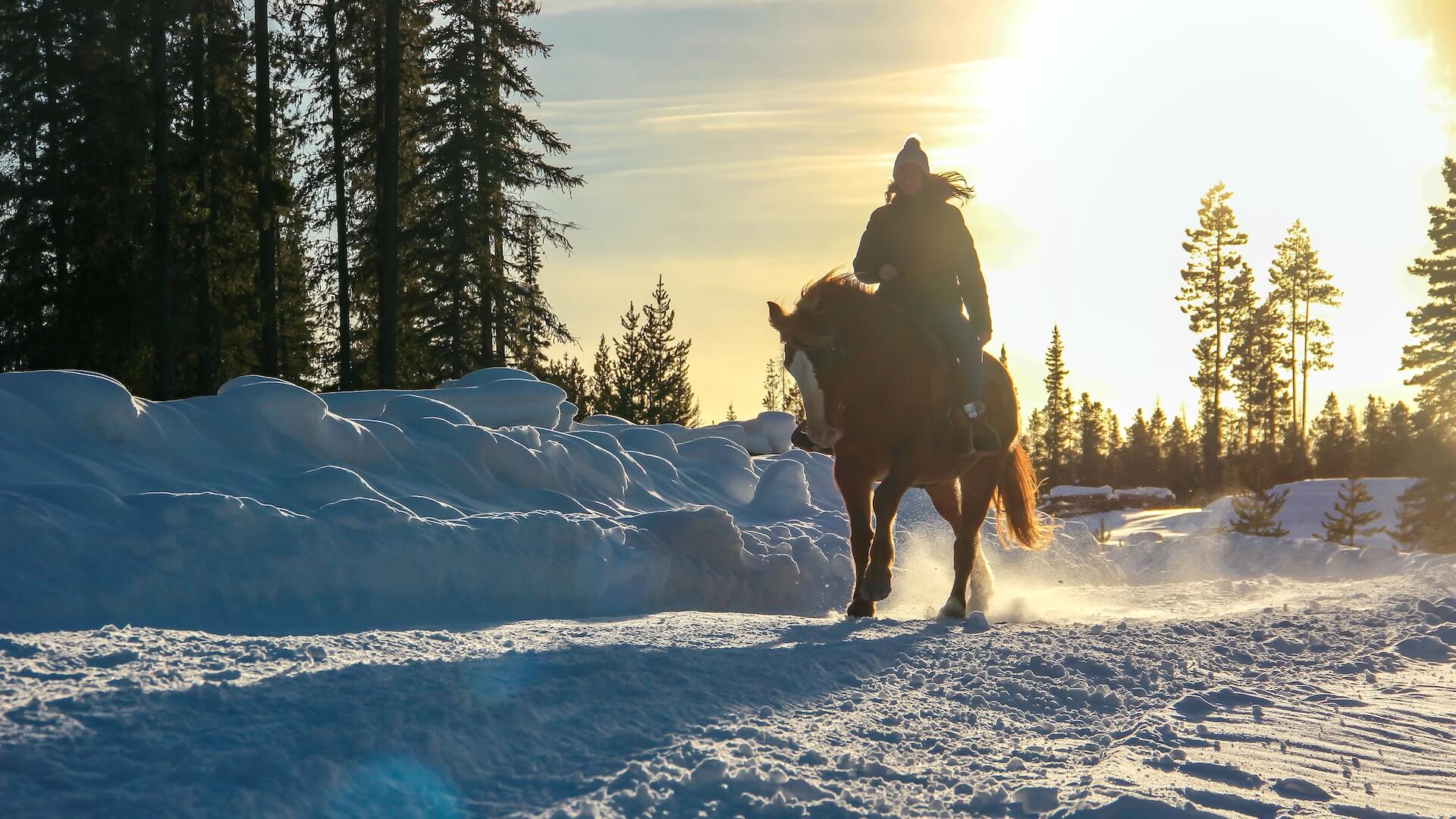 Die Magie des Winters zu Pferd